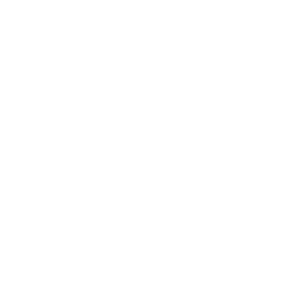 Extensive-Experience-copy