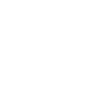 Grid-Capacity-Expansion-copy