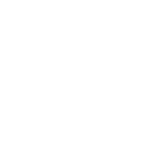 Resilience-and-Reliability-copy